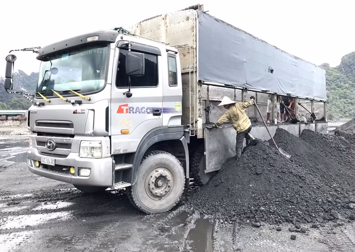 Bắt một vụ vận chuyển than trái phép tại Cẩm Phả