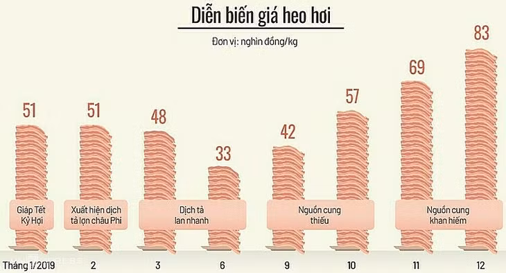 Giá thịt heo tăng như thế nào (Click vào ảnh để xem chi tiết). Đồ họa: Tiến Thành