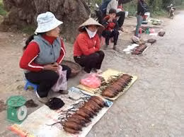 Chuột bày bán ở ven đường.