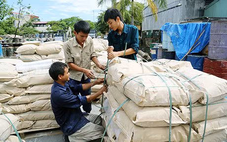 Đóng gói tùng hương tại Công ty.
