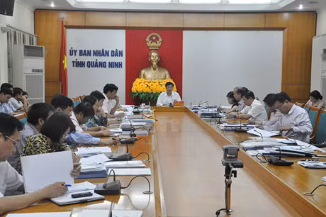 Đồng chí Nguyễn Văn Đọc, Chủ tịch UBND tỉnh, Chủ tịch Hội đồng thẩm định đề án phát biểu kết luận cuộc họp.