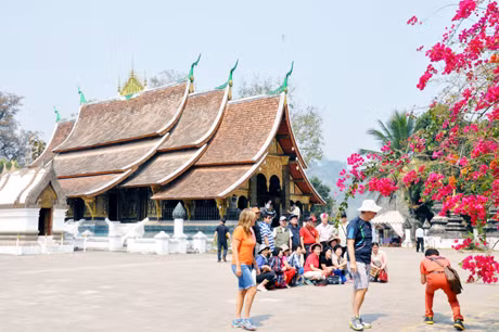 Khách sạn nơi tôi ở là một ngôi nhà xây kiểu biệt thự 2 tầng, mang dáng dấp rất cổ kính, nằm ngay cạnh dòng sông Mê Kông, xung quanh ngôi nhà rợp bóng cây xanh với những giàn hoa giấy rực rỡ, đem lại một không gian tràn ngập sắc màu, thơ mộng và mát mẻ.