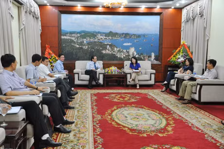 Quang cảnh buổi làm việc.