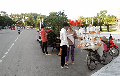 Chụp hồi 17 giờ ngày 24/8/2014 trên đường Lê Thánh Tông (TP Hạ Long) (trước cổng Đài tưởng niệm)