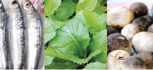 Cá trích, cải xanh, nấm rơm... thích hợp dùng chế biến món ăn cho người bệnh thận, béo phì, tiểu đường... - Ảnh: K.Vy - M.Khôi