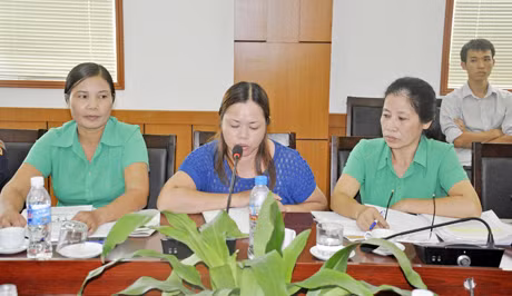 Đại diện các hộ bị ảnh hưởng bởi Dự án Đầu tư xây dựng kinh doanh hạ tầng khu dân cư Cầu Sến trình bày nội dung kiến nghị tại buổi đối thoại.