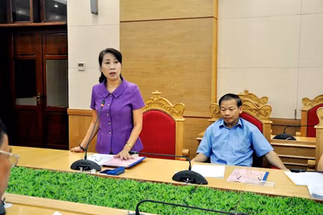 2.	Đồng chí Lê Thị Bích Hường, Ủy viên Ban Thường vụ, Trưởng Ban Tổ chức Tỉnh ủy phân tích Đề án tại cuộc họp