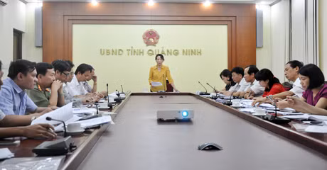 Đồng chí Vũ Thị Thu Thủy, Phó Chủ tịch UBND tỉnh phát biểu kết luận cuộc họp.