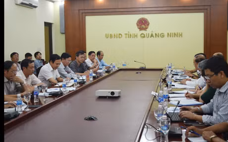 Quang cảnh buổi làm việc.
