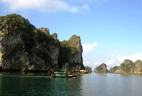 Ảnh minh hoạ