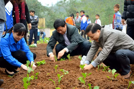 ĐVTN và lãnh đạo cơ quan Báo Quảng Ninh tình nguyện trồng rau tại Trường PTDT bán trú TH&THCS Hà Lâu, huyện Tiên Yên.