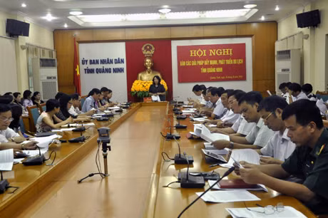 Đồng chí Vũ Thị Thu Thuỷ, Phó Chủ tịch UBND tỉnh phát biểu kết luận cuộc làm việc.