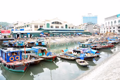 Tàu, thuyền của ngư dân đã về nơi trú ẩn an toàn.