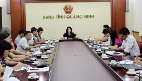 Đồng chí Vũ Thị Thu Thủy, Phó Chủ tịch UBND tỉnh kết luận cuộc họp.