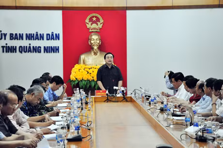 Phó Thủ tướng Chính phủ Hoàng Trung Hải phát biểu tại cuộc họp.