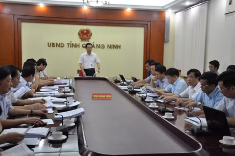 Đồng chí Nguyễn Văn Thành, Phó Chủ tịch UBND tỉnh phát biểu kết luận cuộc họp.