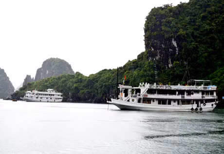 Vịnh Hạ Long. Ảnh: Thái Bình