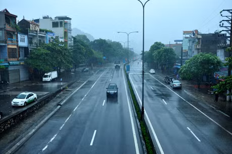 TP Hạ Long có mưa vừa, gió cấp 6-7.