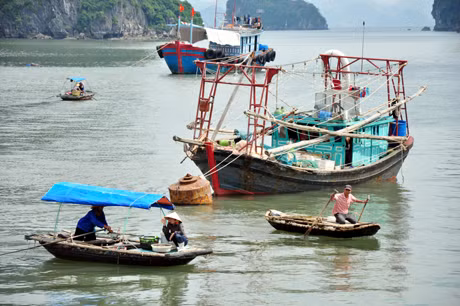 Ngư dân di chuyển lên bờ tìm nơi trú ẩn.