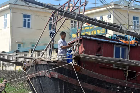 Người dân huyện Đầm Hà chằng, cột tàu thuyền.