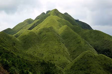 Trùng điệp cao nguyên cỏ