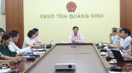 Đồng chí Nguyễn Văn Đọc, Phó Bí thư Tỉnh ủy, Chủ tịch UBND tỉnh kết luận cuộc họp.