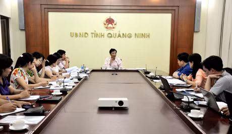 Đồng chí Nguyễn Văn Đọc, Phó Bí thư Tỉnh ủy, Chủ tịch UBND tỉnh phát biểu kết luận cuộc họp.