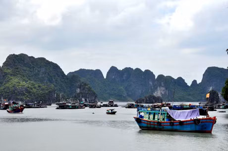 Toàn bộ tàu, thuyền đã về nơi tránh trú an toàn.