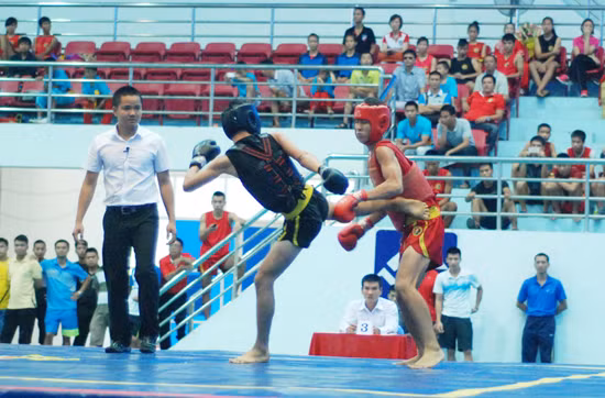 Thi đấu tán thủ tại giải. (Ảnh minh hoạ)