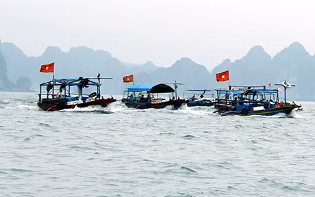 Ảnh minh hoạ