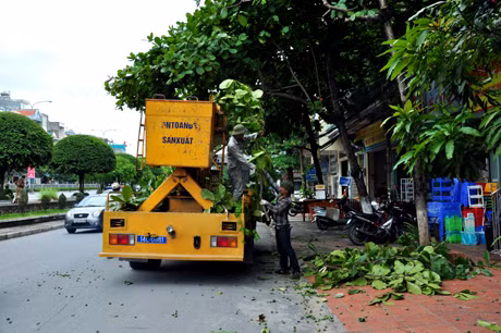 Cắt tỉa cây xanh để đảm bảo an toàn khi bão về.