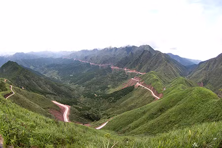 Và con đường uốn lượn trên các đồi cỏ