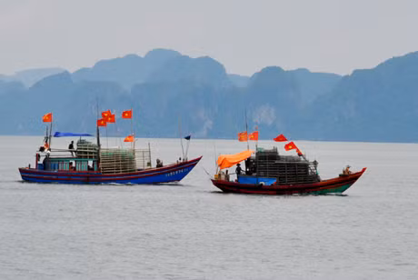 Các tàu đánh cá về nơi tránh trú bão an toàn.