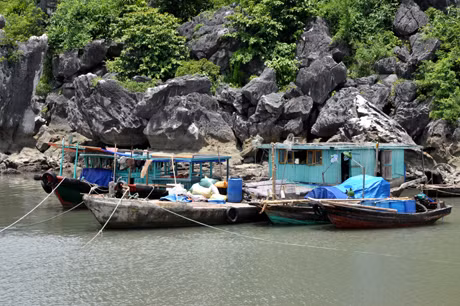 Các thuyền nhỏ, nằm áp sát vào hẻm núi.