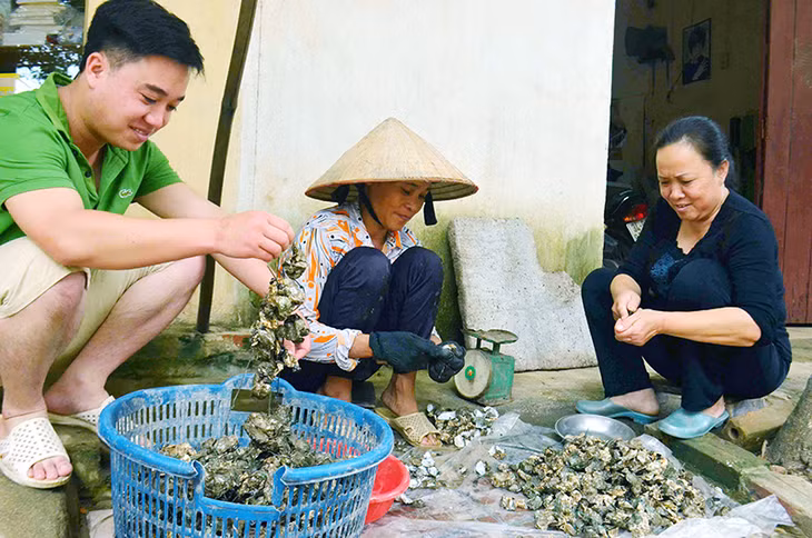 Chị Ngô Thị Sinh đang gỡ ruột hà bán cho khách.
