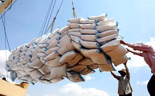 Xây dựng thương hiệu gạo quốc gia muộn còn hơn không.