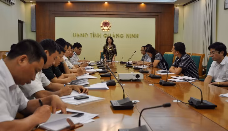 Đồng chí Vũ Thị Thu Thủy, Phó Chủ tịch UBND tỉnh chủ trì cuộc họp.