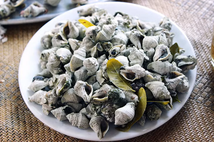 Ốc vôi luộc lá chanh, gừng, sả...