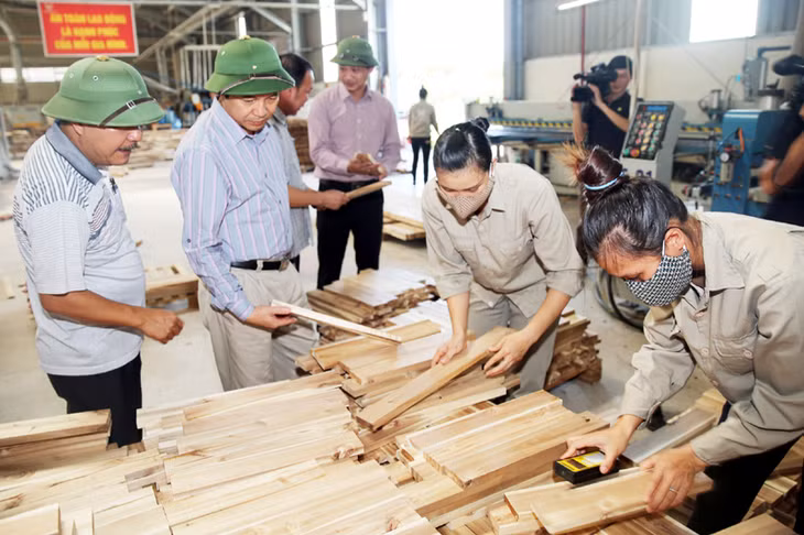 Đồng chí Đặng Huy Hậu, Phó Chủ tịch Thường trực UBND tỉnh kiểm tra thực tế tình hình sản xuất của nhà máy gỗ Thanh Lâm trên địa bàn xã Tân Bình.