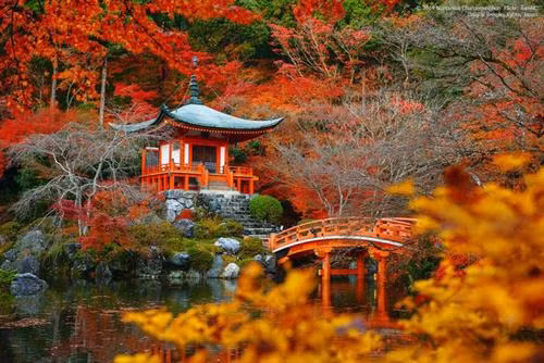 Daigo-ji (Kyoto, Nhật Bản): Mùa thu, cảnh vật khắp nơi trên nước Nhật đều trở nên thơ mộng, đặc biệt thơ mộng nhất vẫn là Daigo-ji. Những con đường nhiều màu sắc, những ngôi nhà đều vắt vẻo lọt thỏm giữa bao hàng cây…