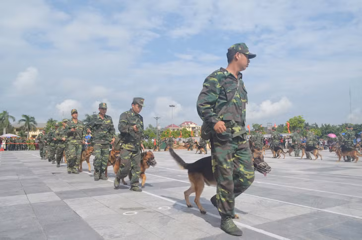 Biểu diễn chó nghiệp vụ