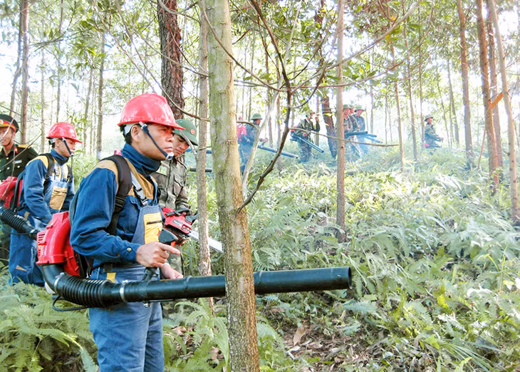 Diễn tập PCCCR ở thành phố Uông Bí.