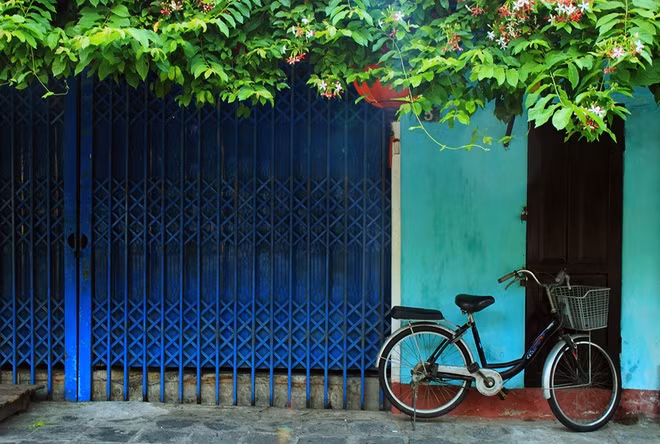 Xe đạp là một “đặc sản” làm nên nét thu hút cho phố Hội. Đến đây, du khách có thể thuê xe đạp ở các cửa hàng với giá khoảng 30.000 đồng một ngày, rồi đạp xe dọc theo những con đường nhỏ và thơ mộng để khám phá phố cổ.