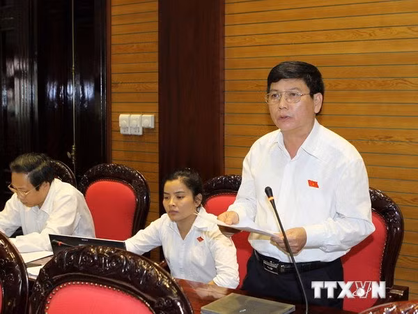 Đại biểu Quốc hội tỉnh Quảng Bình Trần Minh Diệu phát biểu ý kiến tại phiên họp. (Ảnh: Dương Giang/TTXVN)