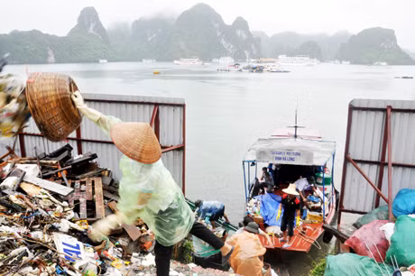 Ngư dân tập kết rác lên bờ để xử lý.