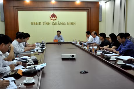 Đồng chí Nguyễn Văn Đọc, Bí thư Ban Cán sự Đảng, Chủ tịch UBND tỉnh chủ trì cuộc họp.