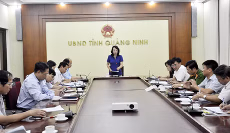 Phó Chủ tịch UBND tỉnh Vũ Thị Thu Thủy kết luận tại hội nghị