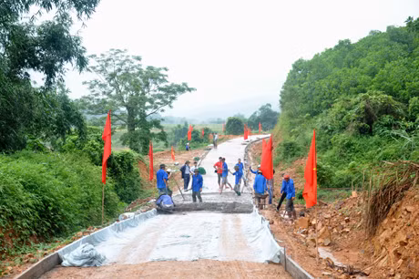 Màu xanh tình nguyện trên con đường nông thôn mới.
