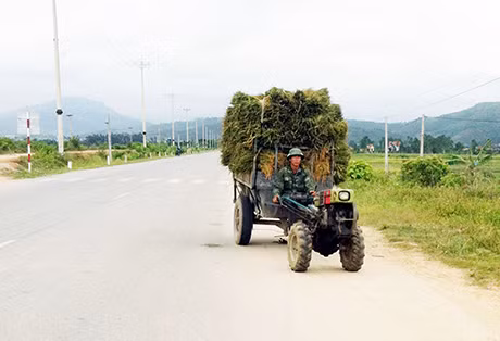Ảnh chụp lúc 11h ngày 5-6-2014, tại xã Sông Khoai, TX Quảng Yên.