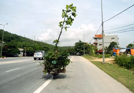 Ảnh chụp hồi 8h45 ngày 28-6-2014 tại đường Cái Lân, phường Bãi Cháy, TP Hạ Long.